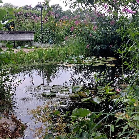 Vakantiehuisje Achter Odiliapeel Bagian luar foto