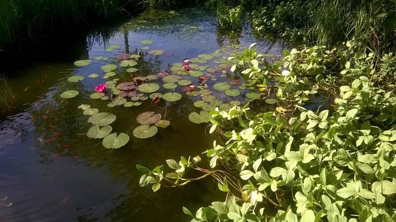 Vakantiehuisje Achter Odiliapeel Bagian luar foto